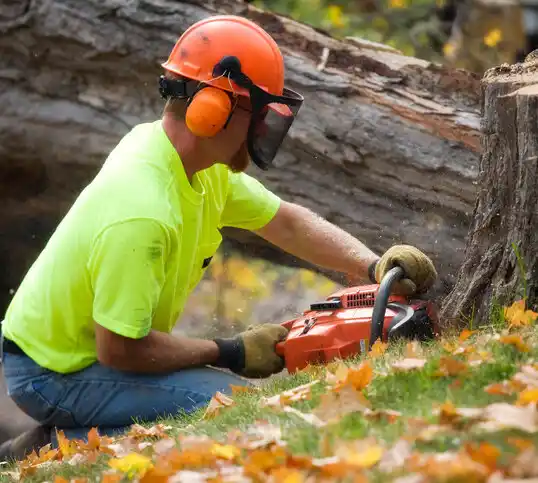 tree services Beulah